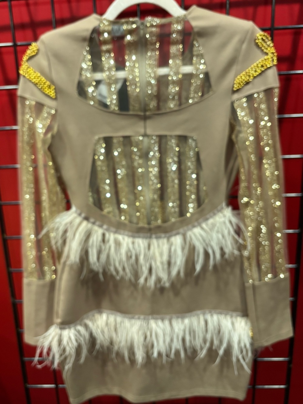 AKIRA Taupe Mini Dress with Gold Beaded Detail & Feather Trim - Picture 2 of 6